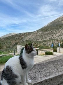 Classical Greece — monasteries in the sky (and a lot of cats) — photo 12