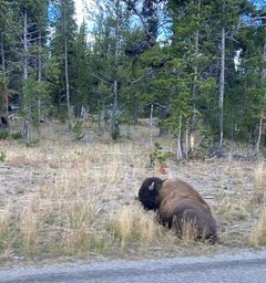 Almost 2,000 bus miles through America's National Parks — photo 5