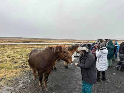 Chasing the Northern Lights — Iceland & Finland — photo 8