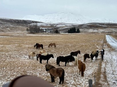 Chasing the Northern Lights — Iceland & Finland — photo 9